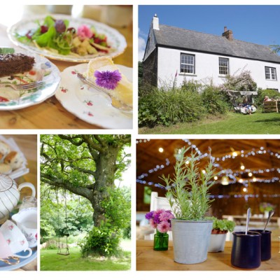 The Cow Shed, Freathy Farmhouse, Millbrook, Cornwall. July.